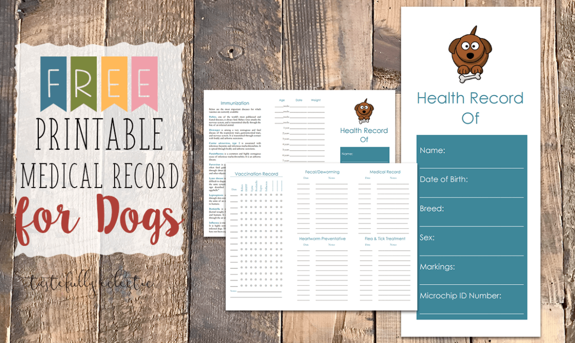 Free Prinable Medical Record for Dogs2 Tastefully Eclectic