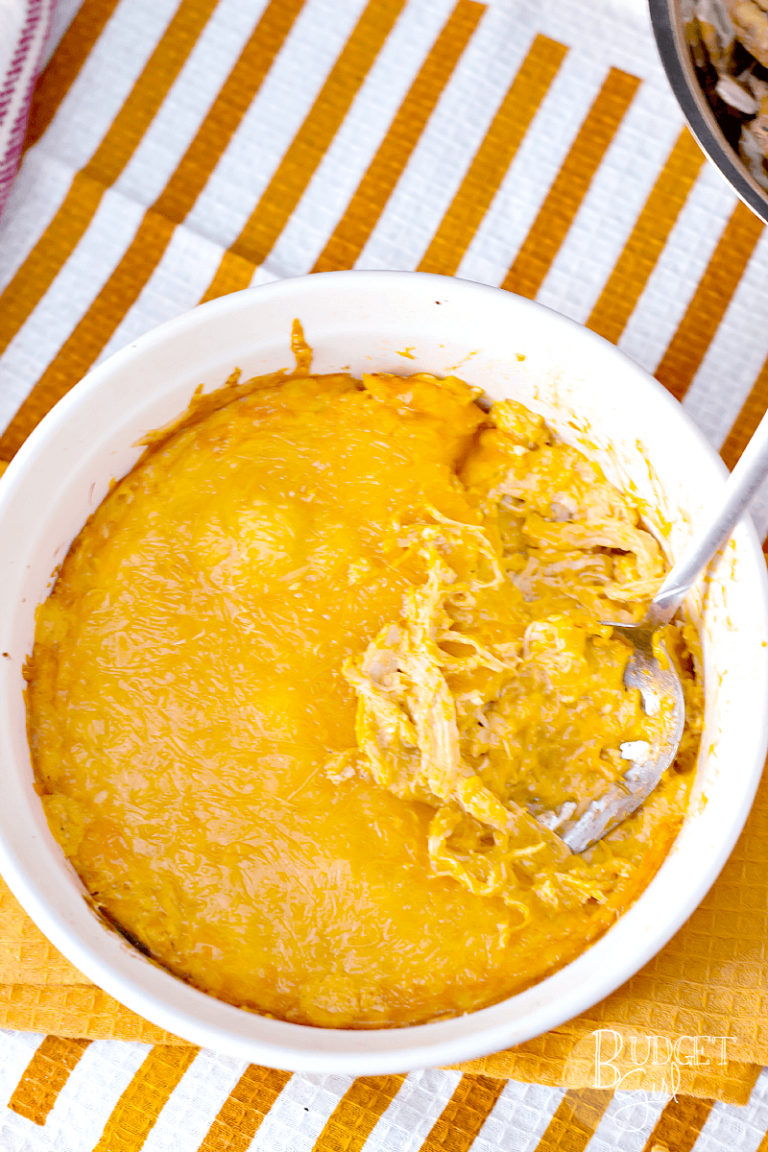 Buffalo Chicken Dip 10 Tastefully Eclectic