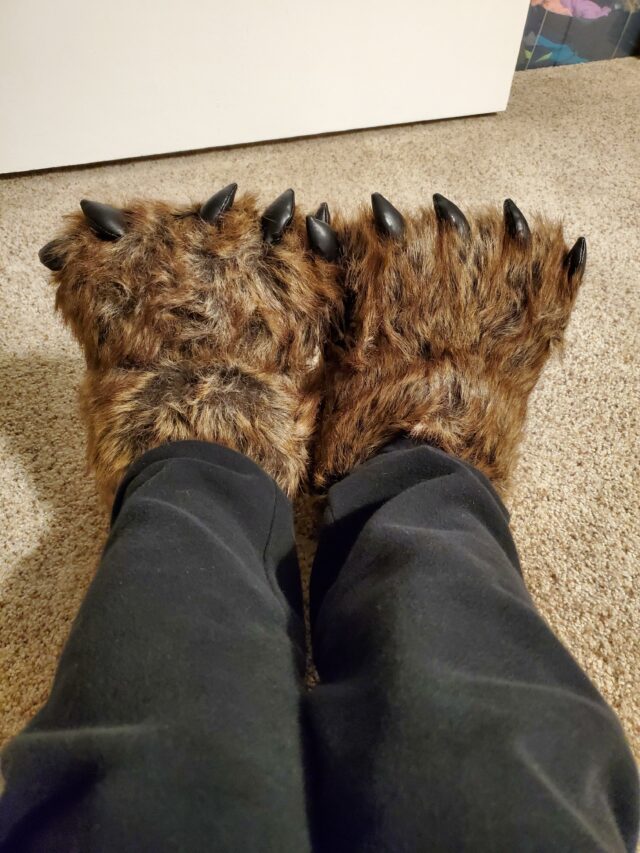 Grizzly Bear Slippers